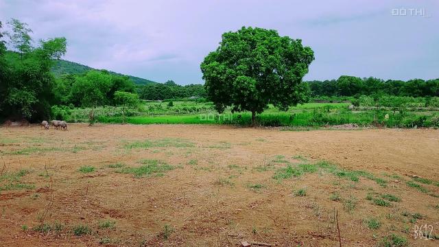 Bán đất thổ cư, view toàn bộ cánh đồng, đã có cây xanh