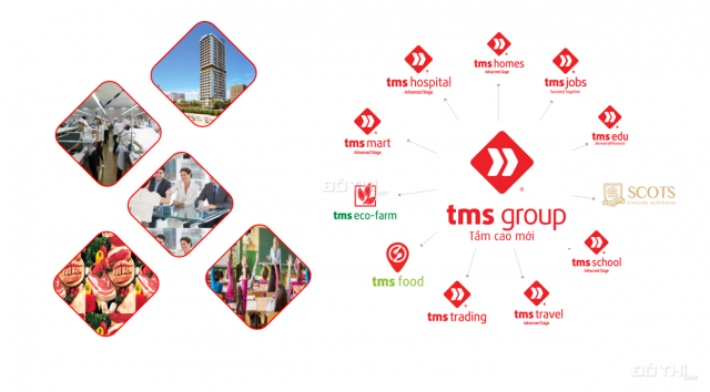 TMS Vĩnh Yên - Chỉ 15 triệu/m2 sở hữu ngay lô liền kề, bàn giao sau 12 tháng, sổ đỏ vĩnh viễn