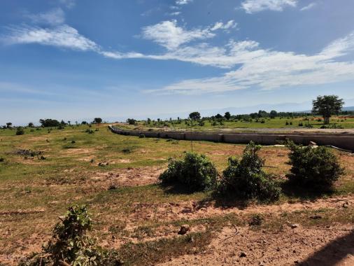 Bán đất nông nghiệp Bình Thuận, cơ hội lớn cho khách đầu tư đón đầu cơ sở hạ tầng từ 50.000đ/m2