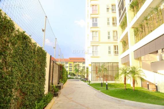 CH penthouse sân vườn The Golden Star, Q7, TT 50% nhận nhà, tặng 1 năm PQL + dàn máy lạnh âm trần