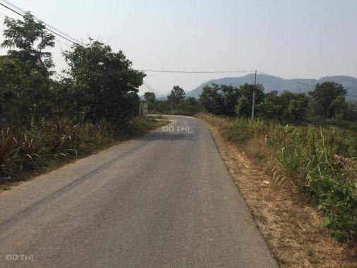Siêu phẩm trang trại, dự án sinh thái