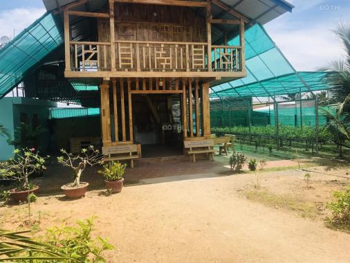 Chính chủ cần bán căn nhà gỗ nhiều tâm huyết 1000m2 tại TP Phan Rang Tháp Chàm, Ninh Thuận