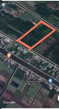 Bán đất tại đường Thích Thiện Hòa, Xã Lê Minh Xuân, Bình Chánh, Hồ Chí Minh, DT 5000m2