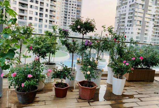 Bán CH sân vườn (Terrace) Đảo Kim Cương, Q2, 2 phòng ngủ, nội thất cao cấp, 53m2 sân vườn - 13,8 tỷ