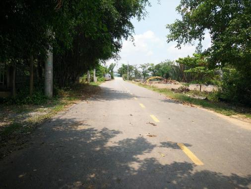 Bán đất tại đường Long Phước, Phường Long Phước, Quận 9, Hồ Chí Minh diện tích 10000m2 giá 5tr/m2