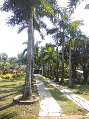 Bán gấp biệt thự vườn Đại Phước, Nhơn Trạch Đồng Nai 7136m2 với giá cực sốc chỉ 9.9 triệu/m2