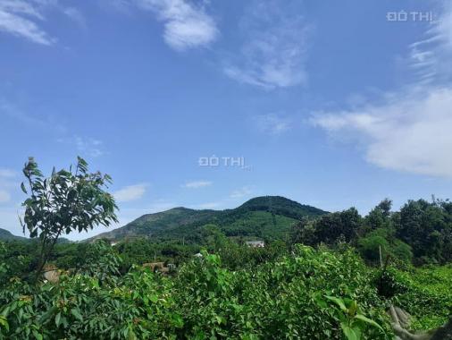 1,4 ha đất thổ cư và đất vườn. Thế đất cao thoải nhẹ đẹp view thoáng Hoà Sơn, Lương sơn, Hoà Bình