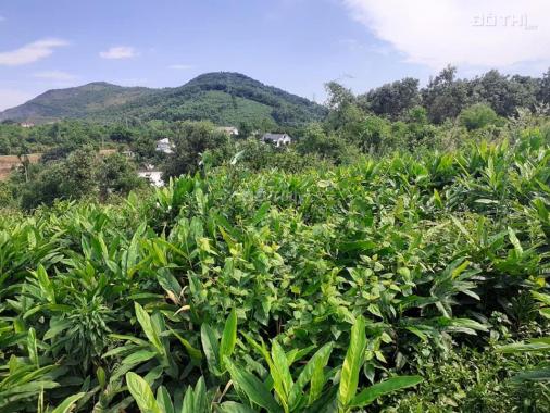 1,4 ha đất thổ cư và đất vườn. Thế đất cao thoải nhẹ đẹp view thoáng Hoà Sơn, Lương sơn, Hoà Bình