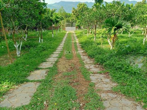 Bán nhà vườn nhỏ, Lương Sơn, Hòa Bình, 3500m2, hơn 3 tỷ. 0983337986