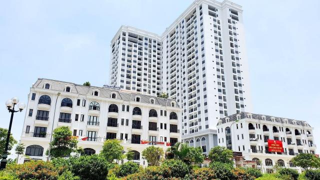 25tr/m2 sở hữu căn hộ tại TSG Lotus Sài Đồng, hỗ trợ vay LS 0% trong 24 tháng