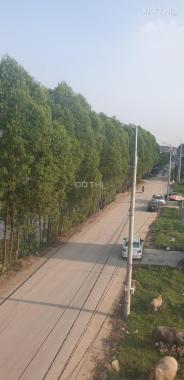 Bán nhanh lô Quang Châu dãy A1 hàng cây nhìn sang khu đô thị phía nam 19.8ha Quang Châu