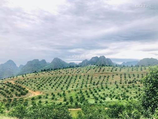Bán đất vườn xây trang trại, đất rừng SX, 21ha, Long Sơn, Lương Sơn, Hòa Bình, 1 tỷ/ha 0983337986