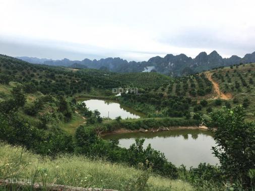Bán đất vườn xây trang trại, đất rừng SX, 21ha, Long Sơn, Lương Sơn, Hòa Bình, 1 tỷ/ha 0983337986