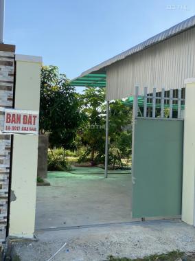 Chính chủ bán đất nhà vườn mini tại huyện Tuy Phong, tỉnh Bình Thuận