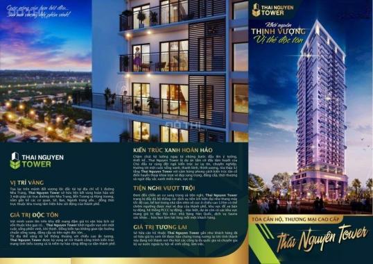 Bán căn hộ chung cư tại dự án Thái Nguyên Tower, Thái Nguyên, Thái Nguyên DT 65m2, giá 17 tr/m2