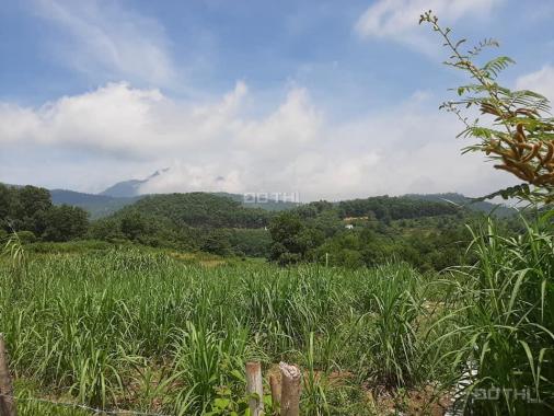 Bán đất nghỉ dưỡng không khí trong lành tại Yên Bài, Ba Vì, giá 1, x tỷ