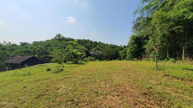 Bán đất tại xã Hợp Thanh, Lương Sơn, Hòa Bình diện tích 7200m2, giá 2.1 tỷ