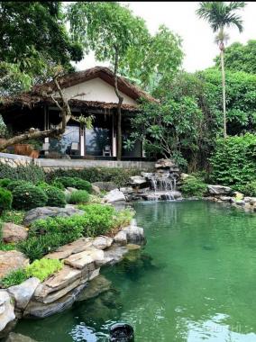 Siêu vip có 102 tại Lương Sơn, Hòa Bình bán homestay, biệt thự nhà vườn nghỉ dưỡng, 6600m2