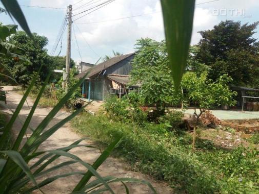 Kẹt tiền bán gấp đất tại xã Long Thắng, Đồng Tháp
