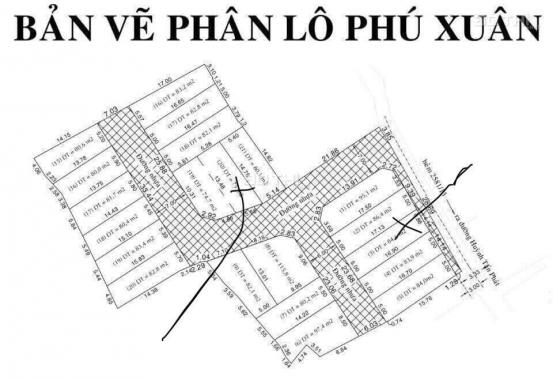 Bán đất tại đường Huỳnh Tấn Phát, xã Phú Xuân, Nhà Bè, Hồ Chí Minh, diện tích 80m2, giá 2.8 tỷ