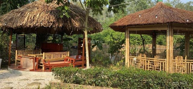 Bán nhà sàn cùng khuôn viên nghỉ dưỡng vô cùng đẹp tại Miễu Tiến Xuân, sát trường ĐH Thủy Lợi, ĐHQG