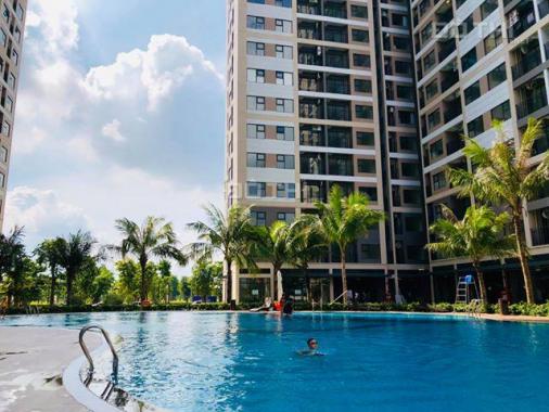 Bán gấp căn studio 890 triệu tặng nội thất tại Vinhomes Ocean Park