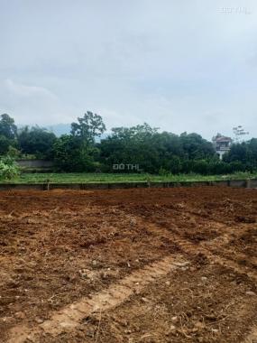 Bán đất thổ cư siêu đẹp siêu rẻ tại Lương Sơn, Hòa Bình diện tích 1160m2