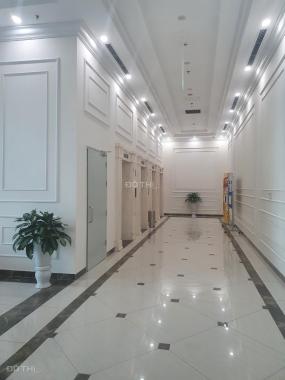 Bán căn hộ Roman Plaza, đường Tố Hữu, 124.3m2, 3PN, 3VS, giá: 3 tỷ 385 triệu