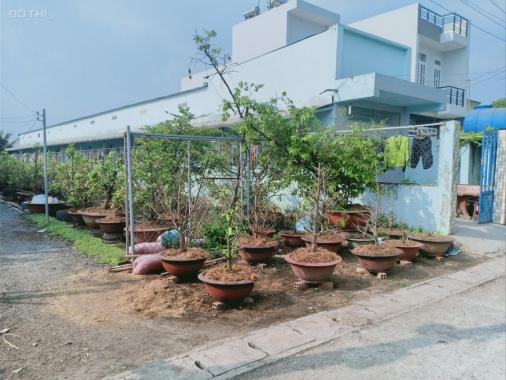 Bán dãy trọ 5x50m 11 phòng full thổ cư Vườn Thơm, Bình Chánh sổ hồng giá nét