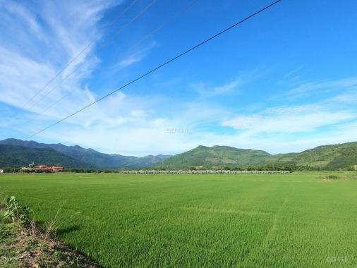Chính chủ cần bán 1700m2 đất TCLN Diên Lâm, giá 185 triệu