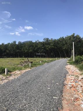 Bán đất giá rẻ tại TP. Tây Ninh - chỉ 35 triệu/m2