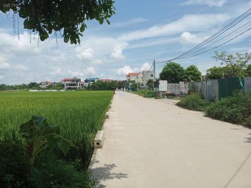 Bán đất bìa làng Mạch Tràng, Cổ Loa ô tô, DT 500m2, MT 22m. Giá: 28tr/m2