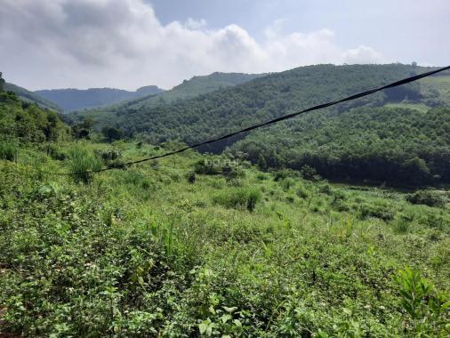 Cần bán 2.2ha đất rừng sản xuất view tuyệt đỉnh tại Kỳ Sơn, Hòa Bình