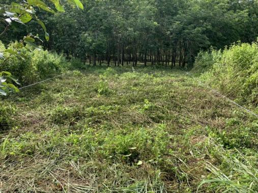 Cần tiền bán rẻ lỗ vốn lô đất thổ cư tại xã Lai Hưng - Huyện Bàu Bàng - Tỉnh Bình Dương