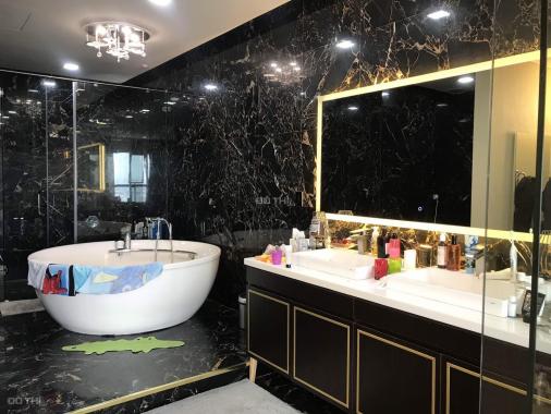 Bán căn hộ penthouse The Everrich 1, Quận 11 - Thiết kế 3 phòng ngủ, 4WC, phòng khách, bếp