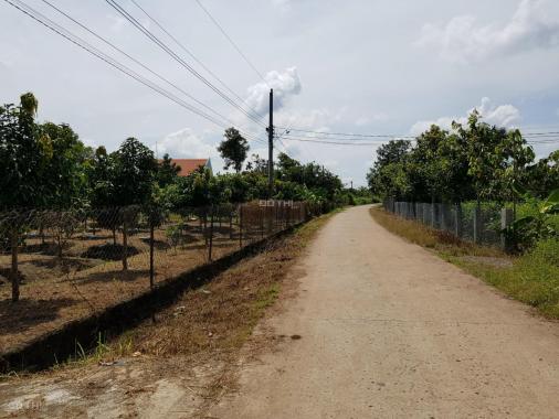Chính chủ đất vườn tại Bảo Hòa, Xuân Lộc, Đồng Nai, đường vào bê tông 5m ô tô vào tận nơi