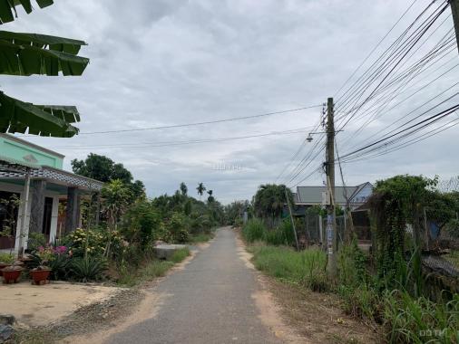 Bán đất xã Bàu Đồn, Gò Dầu. Ngay trường tiểu học Ấp 3, diện tích 10x24m, có thổ cư 100m2