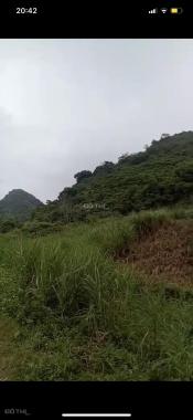 Bán đất tại xã Kỳ Phú, huyện Nho Quan, Ninh Bình