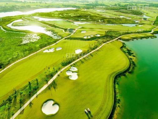 Chính chủ cần cho thuê căn hộ Ecopark. Đối diện sân golf, Sky2 tầng trung đẹp