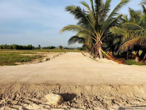 Đất mặt tiền khu vực ngã ba Cây Cám, Xã Hòa Minh, huyện Tuy Phong, tỉnh Bình Thuận
