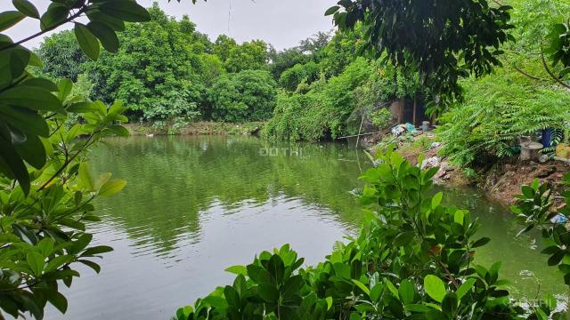 Bán khu sinh thái nhà vườn Đông Mỹ, Thanh Trì, Hà Nội, 2000m2, MT 25m, giá 2.6tr/m2