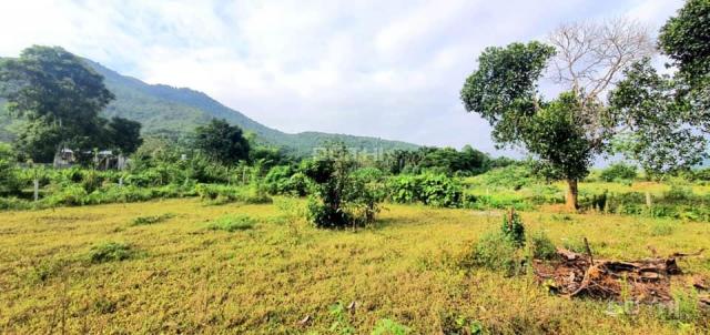 Cần bán đất thổ cư view núi non tuyệt đẹp tại Lương Sơn, Hòa Bình. Diện tích 1760m2