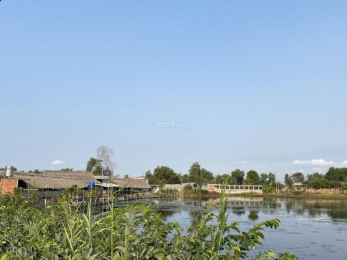 Cần bán quán ăn ven hồ nước thiên nhiên xã Phú Hữu sát phà Cát Lái