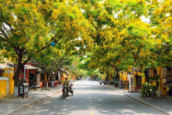 Bán nhà trung tâm phố cổ. Đường Phan Châu Trinh