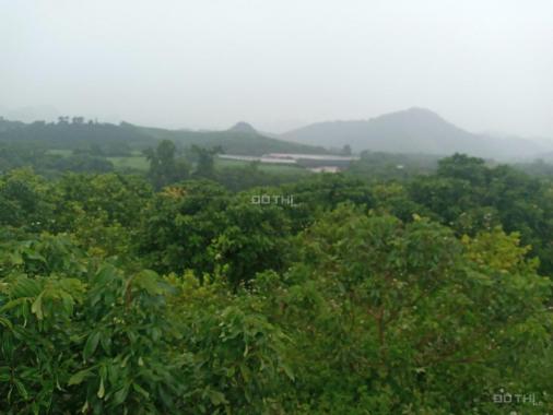 Bán đất phù hợp làm trang trại nghỉ dưỡng siêu đẹp Kim Bôi, Hòa Bình diện tích 18423m2