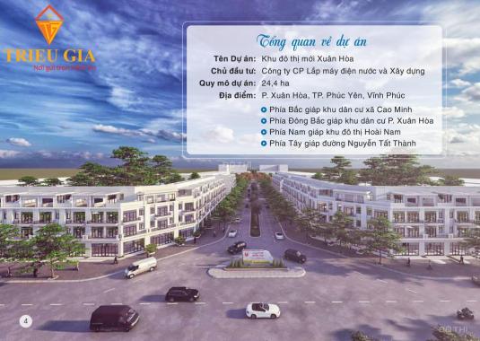 Bán đất nền dự án tại dự án khu đô thị mới Xuân Hòa, Phúc Yên, Vĩnh Phúc DT 125m2 giá 1,206 tỷ