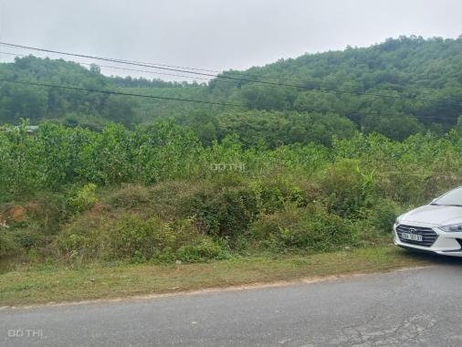 Cần bán nhanh lô đất bám trục đường QL21B tại Kim Bôi, Hòa Bình diện tích 2.7ha