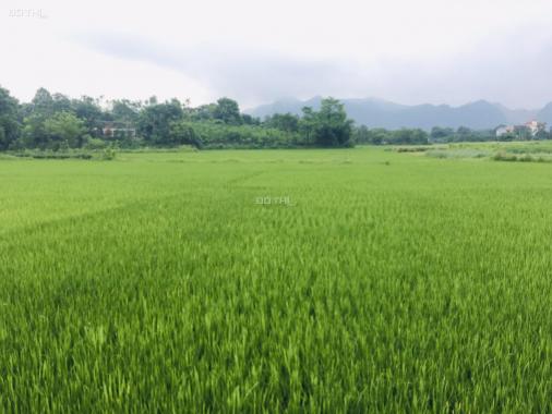 Bán gấp lô đất thổ cư giá rẻ huyện Lương Sơn