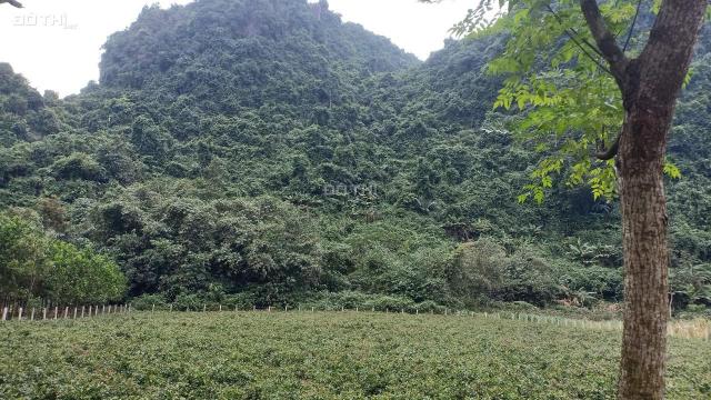 Bán gấp siêu phẩm 3026m2 đất thổ cư lưng tựa núi đá tại Lương Sơn, Hòa Bình
