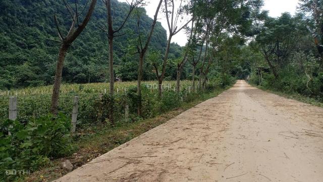 Bán gấp siêu phẩm 3026m2 đất thổ cư lưng tựa núi đá tại Lương Sơn, Hòa Bình